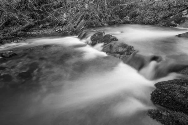 Довгий Час Річка Горнер Тече Через Гірські Ліси Сомерсеті — стокове фото