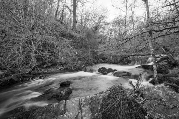 Dlouhá Expozice Horner Water River Tekoucí Lesy Horner Somersetu — Stock fotografie