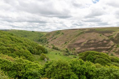Exmoor Ulusal Parkı 'ndaki Robbers Köprüsü' ndeki Weir Water nehri boyunca yapılan dairesel yürüyüşün manzara fotoğrafı.