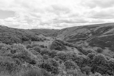 Exmoor Ulusal Parkı 'ndaki Robbers Köprüsü' ndeki Weir Water nehri boyunca yapılan dairesel yürüyüşün siyah beyaz fotoğrafı.