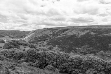 Exmoor Ulusal Parkı 'ndaki Robbers Köprüsü' ndeki Weir Water nehri boyunca yapılan dairesel yürüyüşün siyah beyaz fotoğrafı.