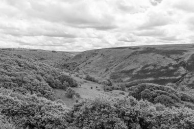 Exmoor Ulusal Parkı 'ndaki Robbers Köprüsü' ndeki Weir Water nehri boyunca yapılan dairesel yürüyüşün siyah beyaz fotoğrafı.