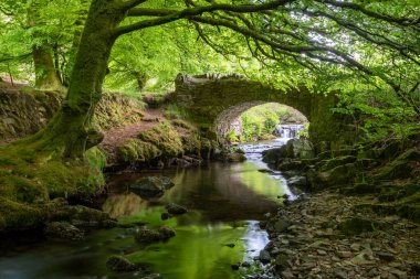 Exmoor Ulusal Parkı 'ndaki Soyguncular Köprüsü' nün altından akan Weir Nehri.