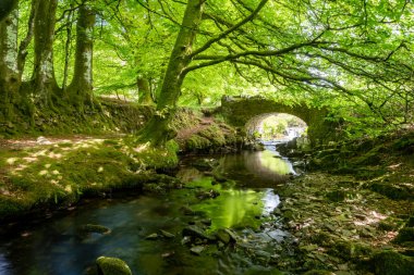 Exmoor Ulusal Parkı 'ndaki Soyguncular Köprüsü' nün altından akan Weir Nehri.
