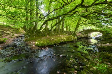 Exmoor Ulusal Parkı 'ndaki Soyguncular Köprüsü' nün altından akan Weir Nehri.