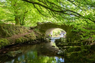 Exmoor Ulusal Parkı 'ndaki Soyguncular Köprüsü' nün altından akan Weir Nehri.