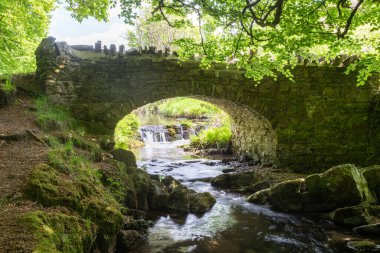 Exmoor Ulusal Parkı 'ndaki Soyguncular Köprüsü' nün altından akan Weir Nehri.