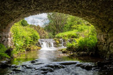 Exmoor Ulusal Parkı 'ndaki Soyguncular Köprüsü' nün altından akan Weir Nehri.