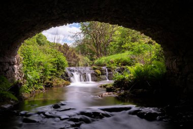 Exmoor Ulusal Parkı 'ndaki Soyguncular Köprüsü' nün altından akan Weir Nehri.