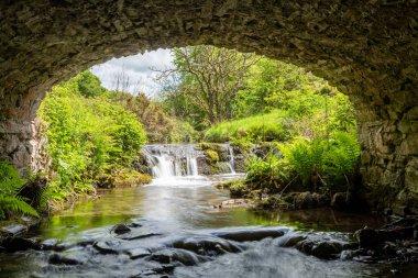 Exmoor Ulusal Parkı 'ndaki Soyguncular Köprüsü' nün altından akan Weir Nehri.
