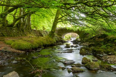 Exmoor Ulusal Parkı 'ndaki Soyguncular Köprüsü' nün altından akan Weir Nehri.