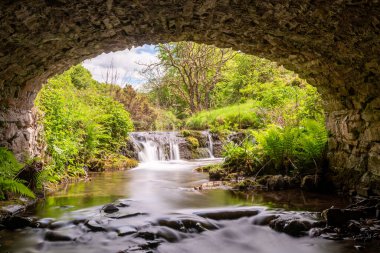 Exmoor Ulusal Parkı 'ndaki Soyguncular Köprüsü' nün altından akan Weir Nehri.