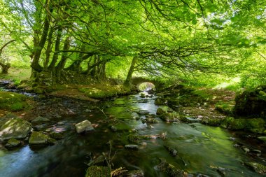Exmoor Ulusal Parkı 'ndaki Soyguncular Köprüsü' nün altından akan Weir Nehri.