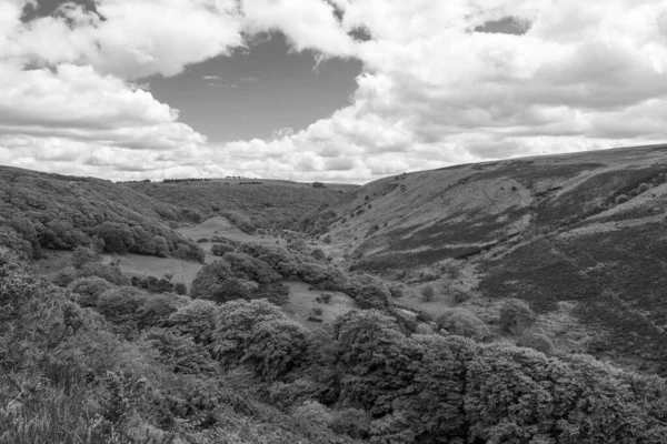 Exmoor Ulusal Parkı 'ndaki Robbers Köprüsü' ndeki Weir Water nehri boyunca yapılan dairesel yürüyüşün siyah beyaz fotoğrafı.