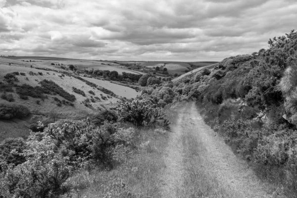 Fekete Fehér Fénykép Körsétáról Weir Folyó Mentén Rablók Hídjánál Exmoor — Stock Fotó