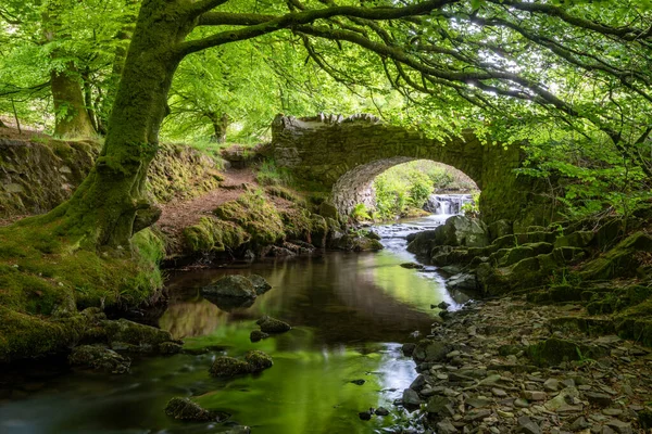 Exmoor Ulusal Parkı 'ndaki Soyguncular Köprüsü' nün altından akan Weir Nehri.