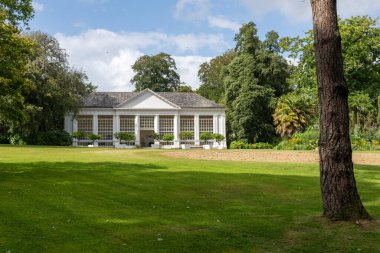 Plymouth. Devon. Birleşik Krallık. 6 Ağustos 2021 Devon 'daki Saltram House' daki portakalların görüntüsü.