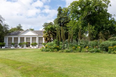 Plymouth. Devon. Birleşik Krallık. 6 Ağustos 2021 Devon 'daki Saltram House' daki portakalların görüntüsü.