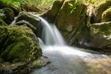 Hoar Oak Nehri 'nin üzerinde Exmoor Ulusal Parkı' ndaki Watersmeet 'te akan şelalenin uzun pozu.