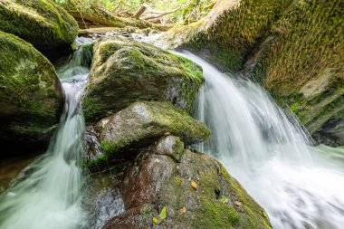 Hoar Oak Nehri 'nin üzerinde Exmoor Ulusal Parkı' ndaki Watersmeet 'te akan şelalenin uzun pozu.