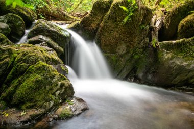 Hoar Oak Nehri 'nin üzerinde Exmoor Ulusal Parkı' ndaki Watersmeet 'te akan şelalenin uzun pozu.