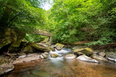 Watersmeet 'teki East Lyn nehrinde Exmoor Ulusal Parkı' nda bir köprünün altından akan şelalenin uzun pozu