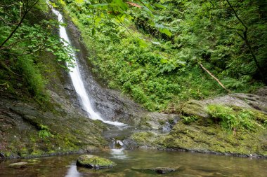 Long exposure of the White Lady waterfall on the river Lyd at Lyford Gorge in Devon