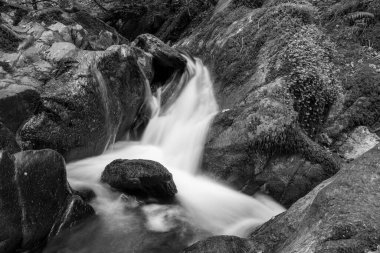 Sonbaharda Exmoor Ulusal Parkı 'ndaki Watersmmet' te Hoar Oak Nehri 'nde bir şelaleye uzun süre maruz kalmak