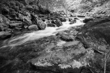 Doğu Lyn nehri üzerinde Exmoor Ulusal Parkı 'ndaki Watersmeet' te uzun süre bir şelale görüldü.