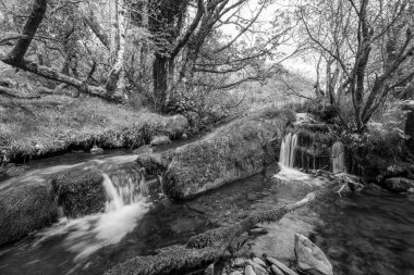 Weir Nehri 'nin Exmoor Ulusal Parkı' ndaki Hırsızlar Köprüsü 'ndeki vadiden geçişi uzun sürdü.