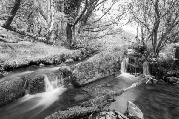 Weir Nehri Nin Exmoor Ulusal Parkı Ndaki Hırsızlar Köprüsü Ndeki — Stok fotoğraf