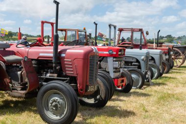 Batı Bay.Dorset.Birleşik Krallık. 12 Haziran 2022 Bir dizi eski Massey Ferguson traktörü West Bay vintage rallisinde sergileniyor.