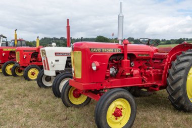Ilminster. Somerset. Birleşik Krallık. 21 Ağustos 2022 Bir dizi David Brown traktörü Dünden kalma bir çiftçilik etkinliğinde sergileniyor.