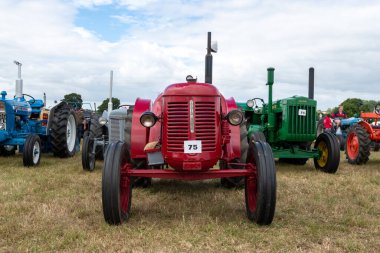 Ilminster. Somerset. Birleşik Krallık. 21 Ağustos 2022 Yenilenmiş David Brown ekin ustası traktörü ve diğer birçok vintage traktörü Dünden kalma bir tarım etkinliğinde sergilenmektedir.