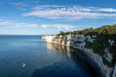 Dorset 'teki Yaşlı Harry Rocks' un manzara fotoğrafı.