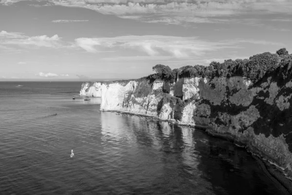 Old Harry Rocks Dorset — 스톡 사진