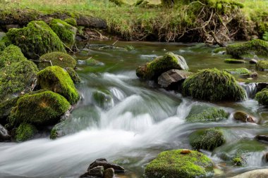 Somerset 'teki Horner Ormanı' ndan akan Horner Nehri 'nde uzun süre su baskını olmuş.