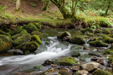 Somerset 'teki Horner Ormanı' ndan akan Horner Nehri 'nde uzun süre su baskını olmuş.