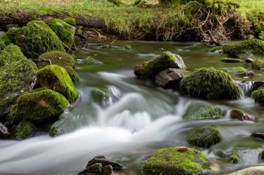 Somerset 'teki Horner Ormanı' ndan akan Horner Nehri 'nde uzun süre su baskını olmuş.