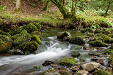 Somerset 'teki Horner Ormanı' ndan akan Horner Nehri 'nde uzun süre su baskını olmuş.