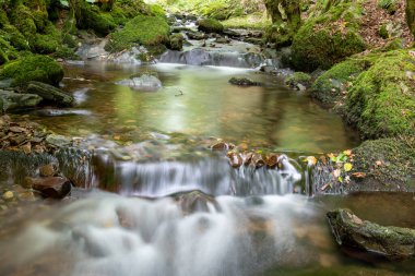 Somerset 'teki Horner Ormanı' ndan akan Horner Nehri 'nde uzun süre su baskını olmuş.
