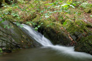 Somerset 'teki Horner Ormanı' ndan akan Horner Nehri 'nde uzun süre su baskını olmuş.