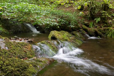 Somerset 'teki Horner Ormanı' ndan akan Horner Nehri 'nde uzun süre su baskını olmuş.
