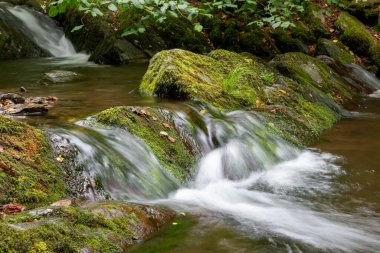 Somerset 'teki Horner Ormanı' ndan akan Horner Nehri 'nde uzun süre su baskını olmuş.