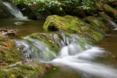 Somerset 'teki Horner Ormanı' ndan akan Horner Nehri 'nde uzun süre su baskını olmuş.