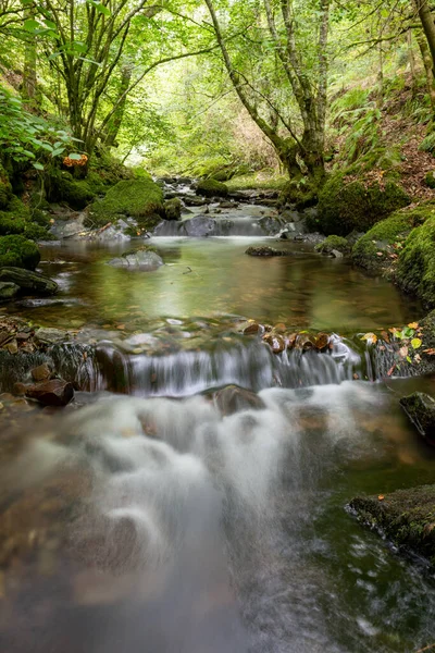 Horner Water Joen Pitkä Altistuminen Virtaa Horner Woods Somerset — kuvapankkivalokuva