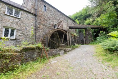Calstock. Cornwall. Birleşik Krallık. 23 Temmuz 2021. Cornwall, Cotehele 'deki su değirmeninin manzarası.