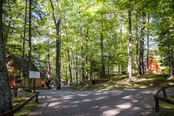 Олд-Фордж, Нью-Йорк - 4 сентября 2021 года: Горизонтальный вид на внутренний лес Сафари-парка, известного как Старое кузнечное сафари в штате Нью-Йорк.