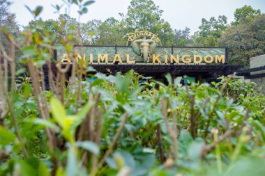 Kissimmee, Florida - February 7, 2022: Closeup View of Disney World Animal Kingdom Entrance Signage thru Bushes Conceptualizing Animal Habitat. clipart
