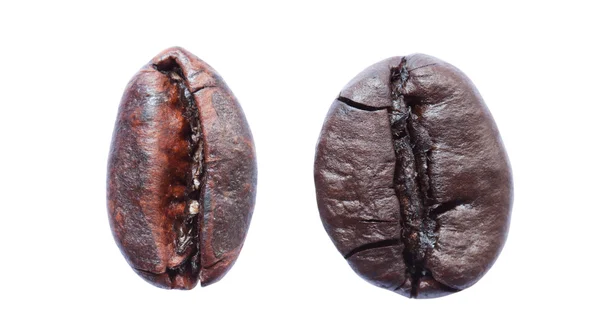 コーヒー豆は、白で隔離されます。ソフト フォーカス — ストック写真